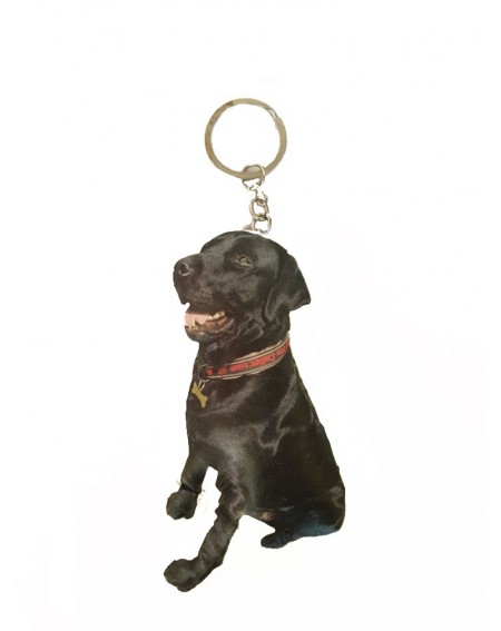 Personalized Dog Photo Key...